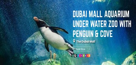DUBAI MALL AQUARIUM UNDER WATER ZOO WITH PENGUIN & COVE