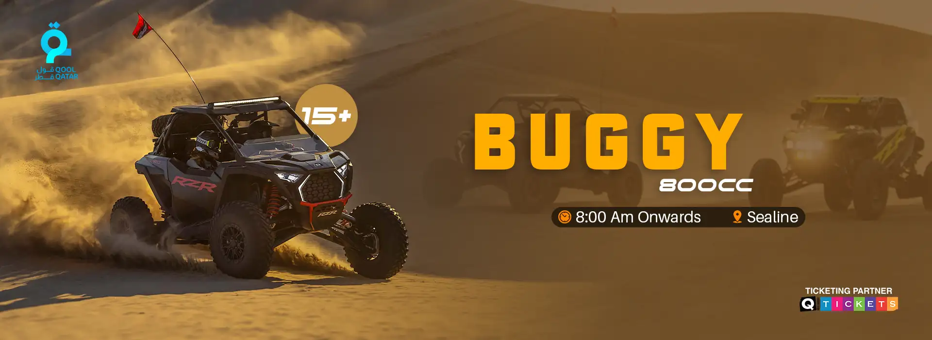 Buggy 800 CC