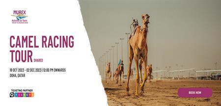 Camel Racing Tours (Shared)