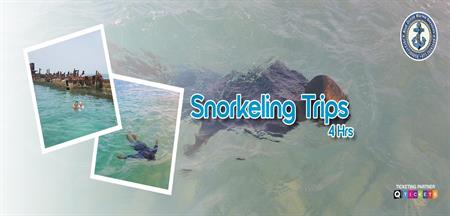 Snorkeling Trips (4 hours)